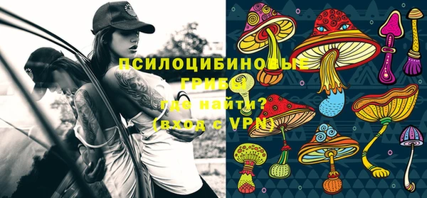 мдпв Армянск