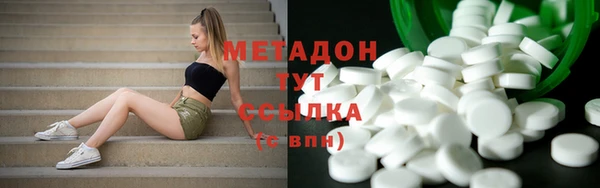 дмт Пересвет