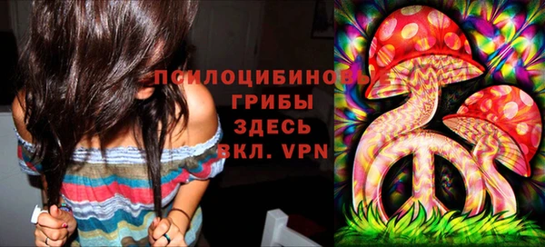 мдпв Армянск