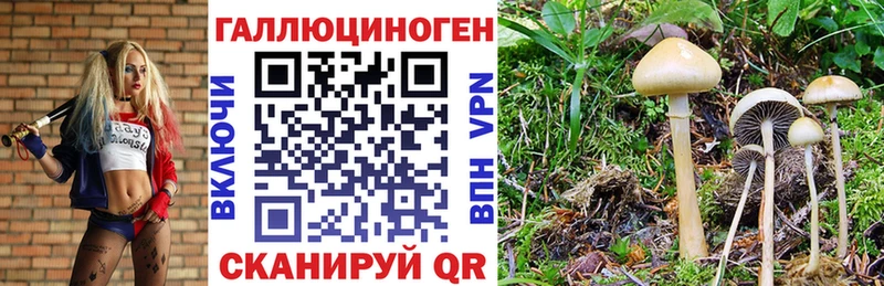 Галлюциногенные грибы GOLDEN TEACHER  сколько стоит  Среднеуральск 